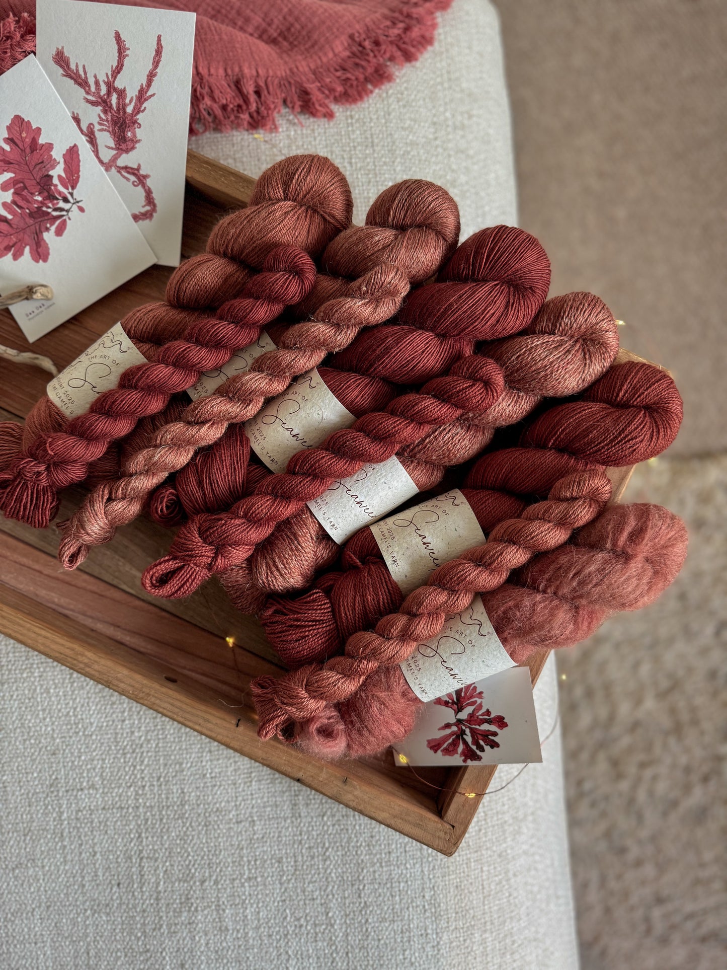 Rhodophyta - BFL Singles