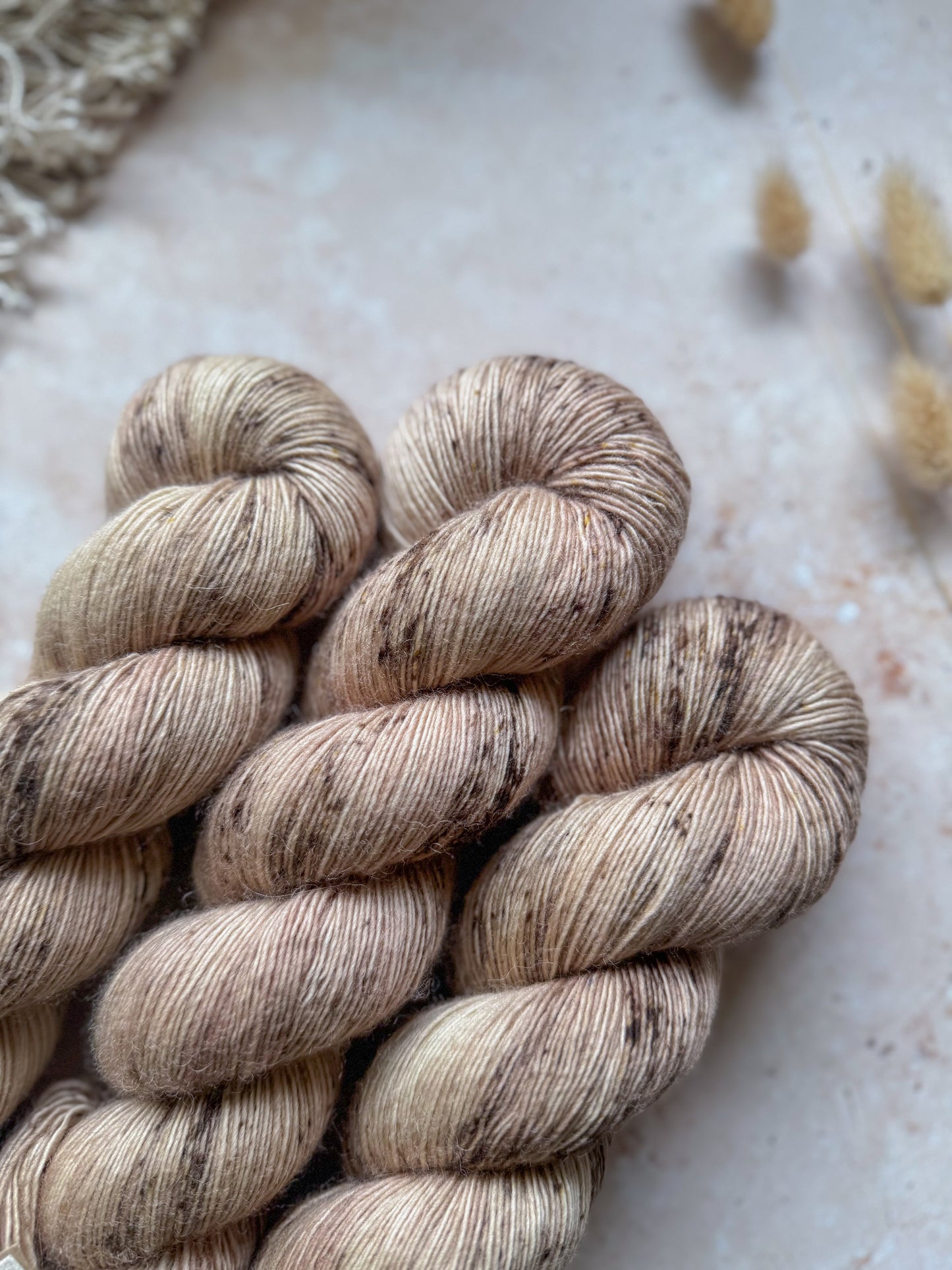 Common Whelk - BFL Singles