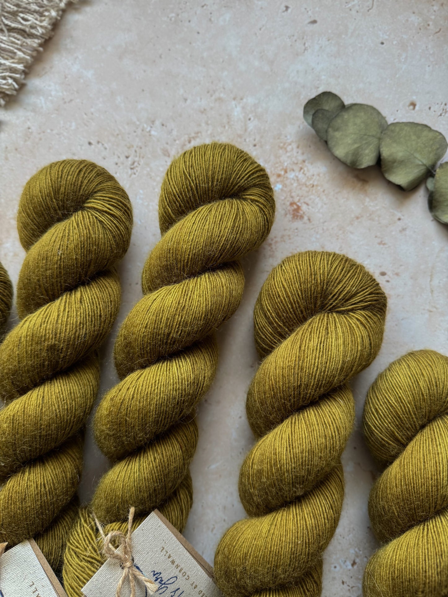 Sea Oak - BFL Singles