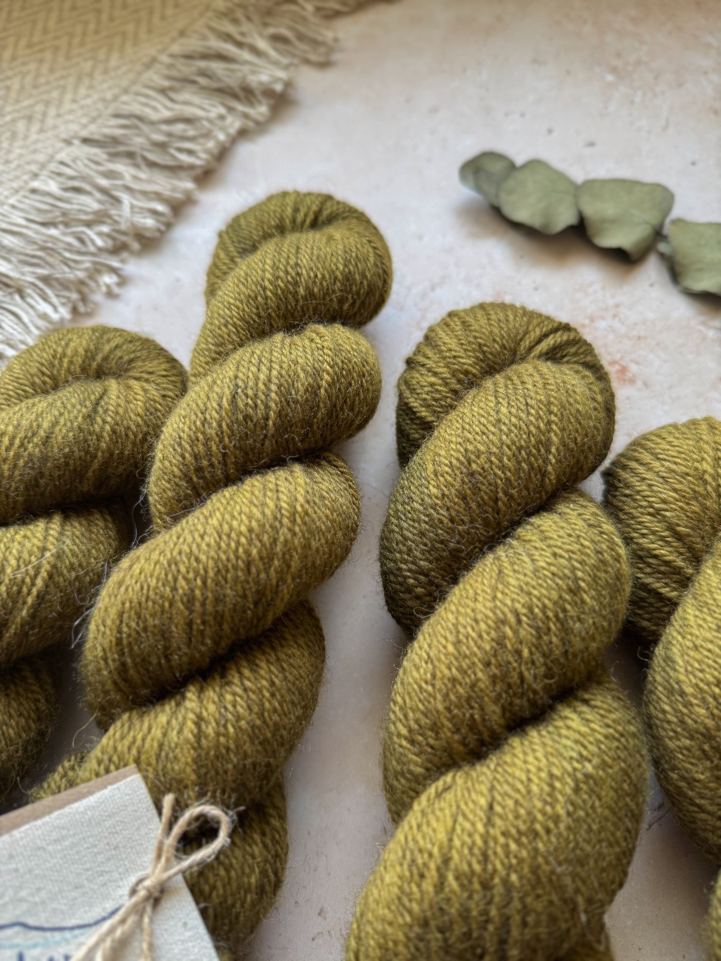 Sea Oak - Moorland Aran