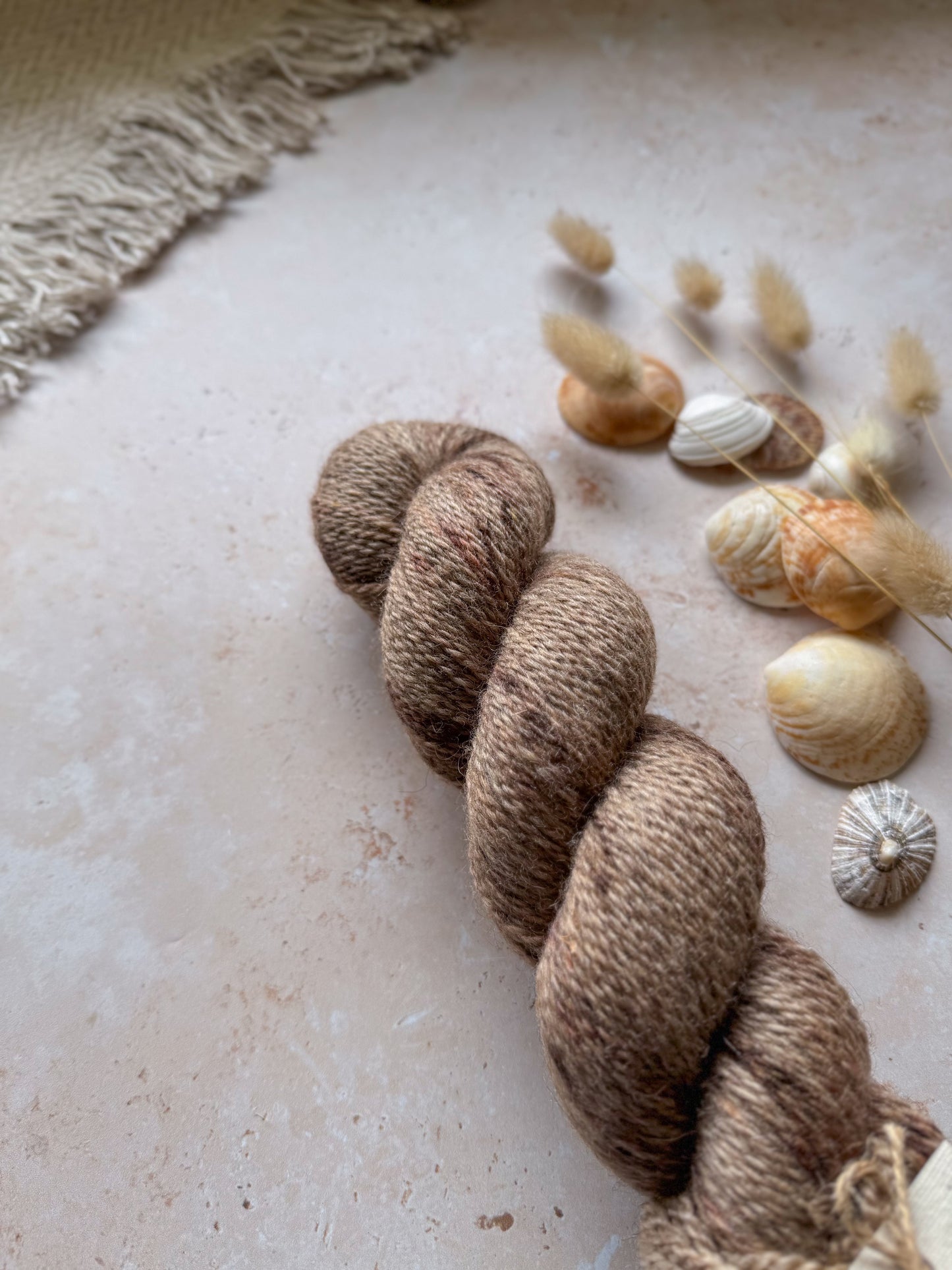 Cones and Volutes - Moorland DK