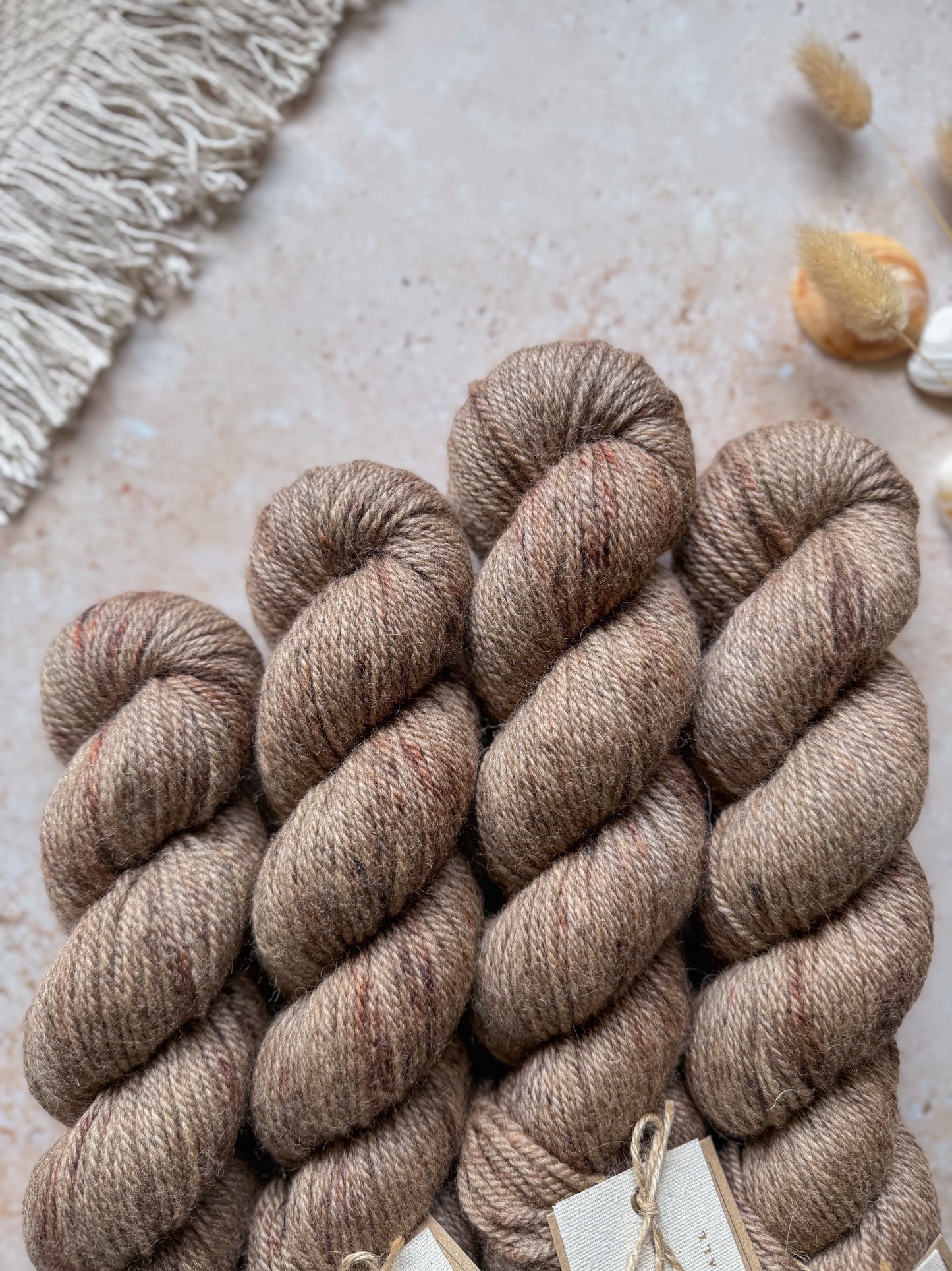 Cones and Volutes - Moorland Aran