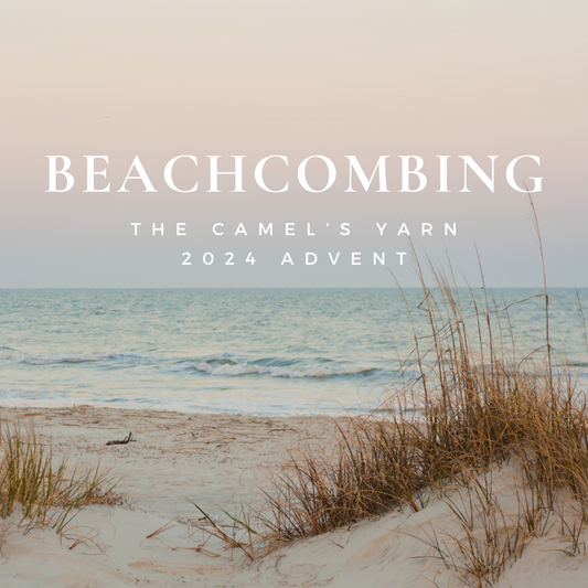 2024 Advent Calendar - Beachcombing