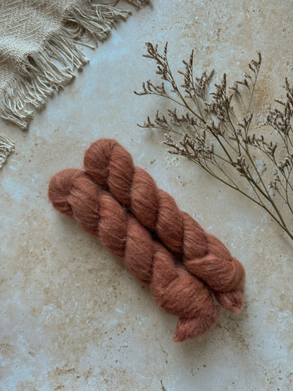 Rhodophyta - Suri Silk Lace