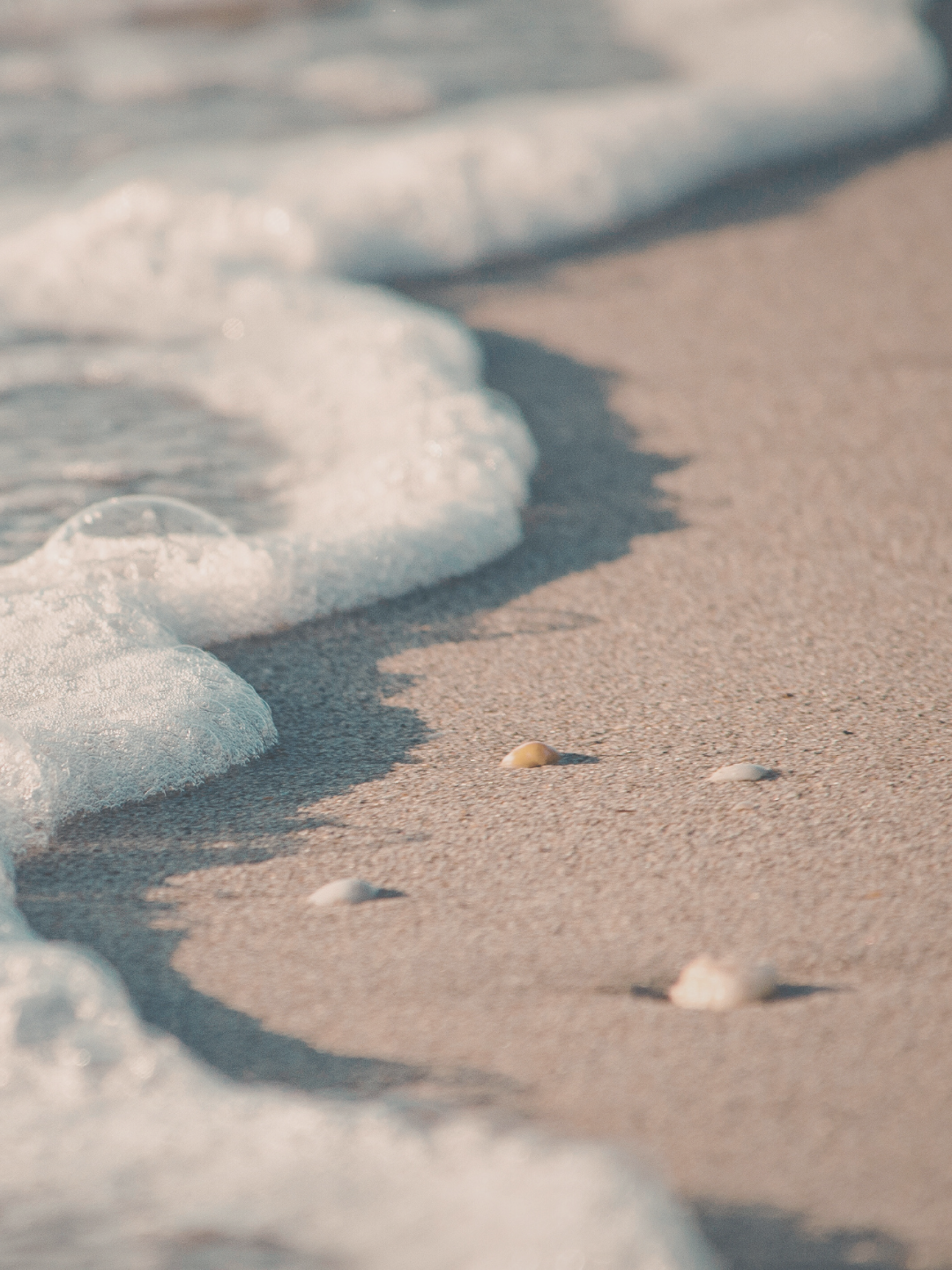 2026 Advent Calendar - The Calm & The Storm