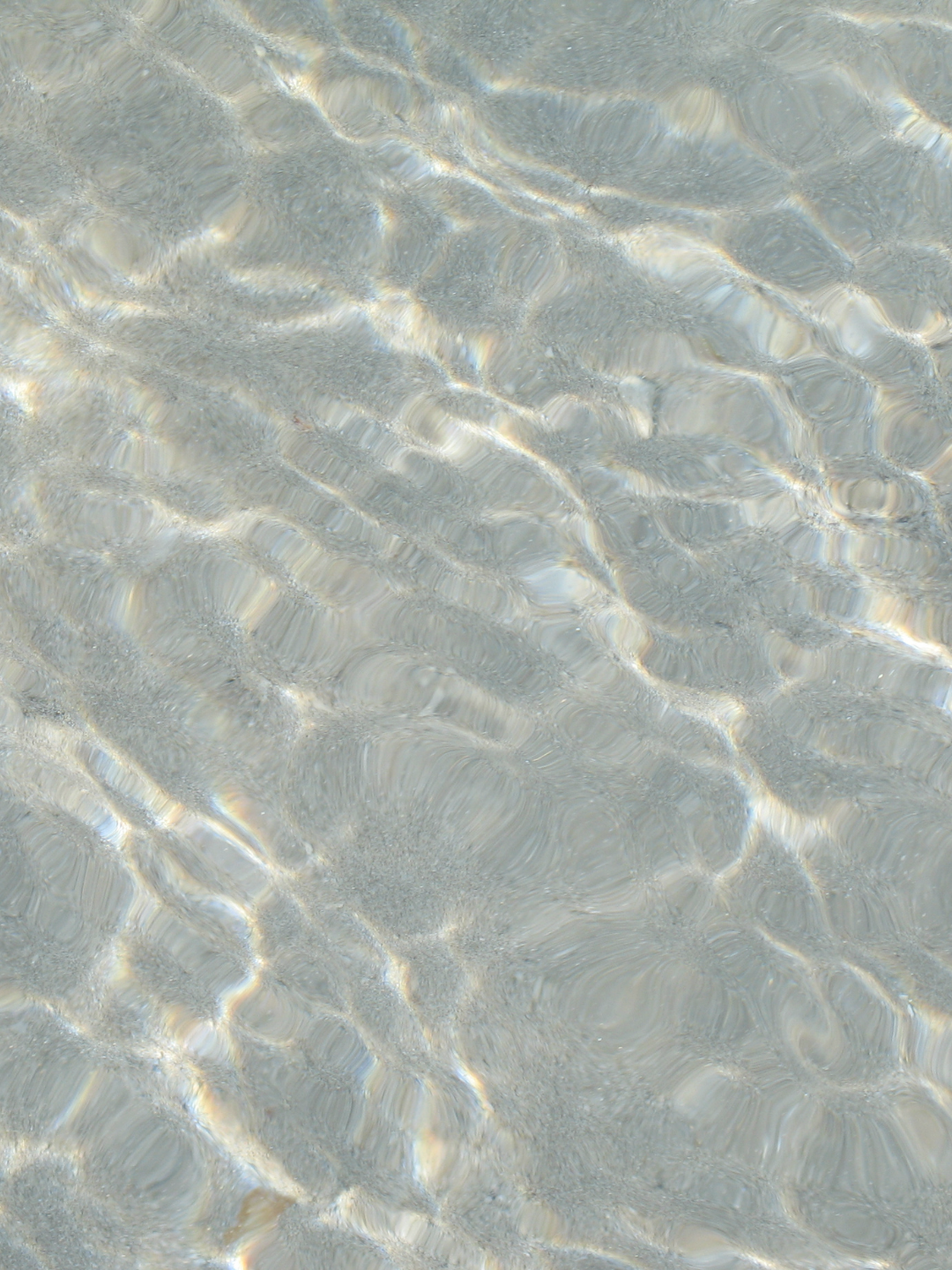 2026 Advent Calendar - The Calm & The Storm