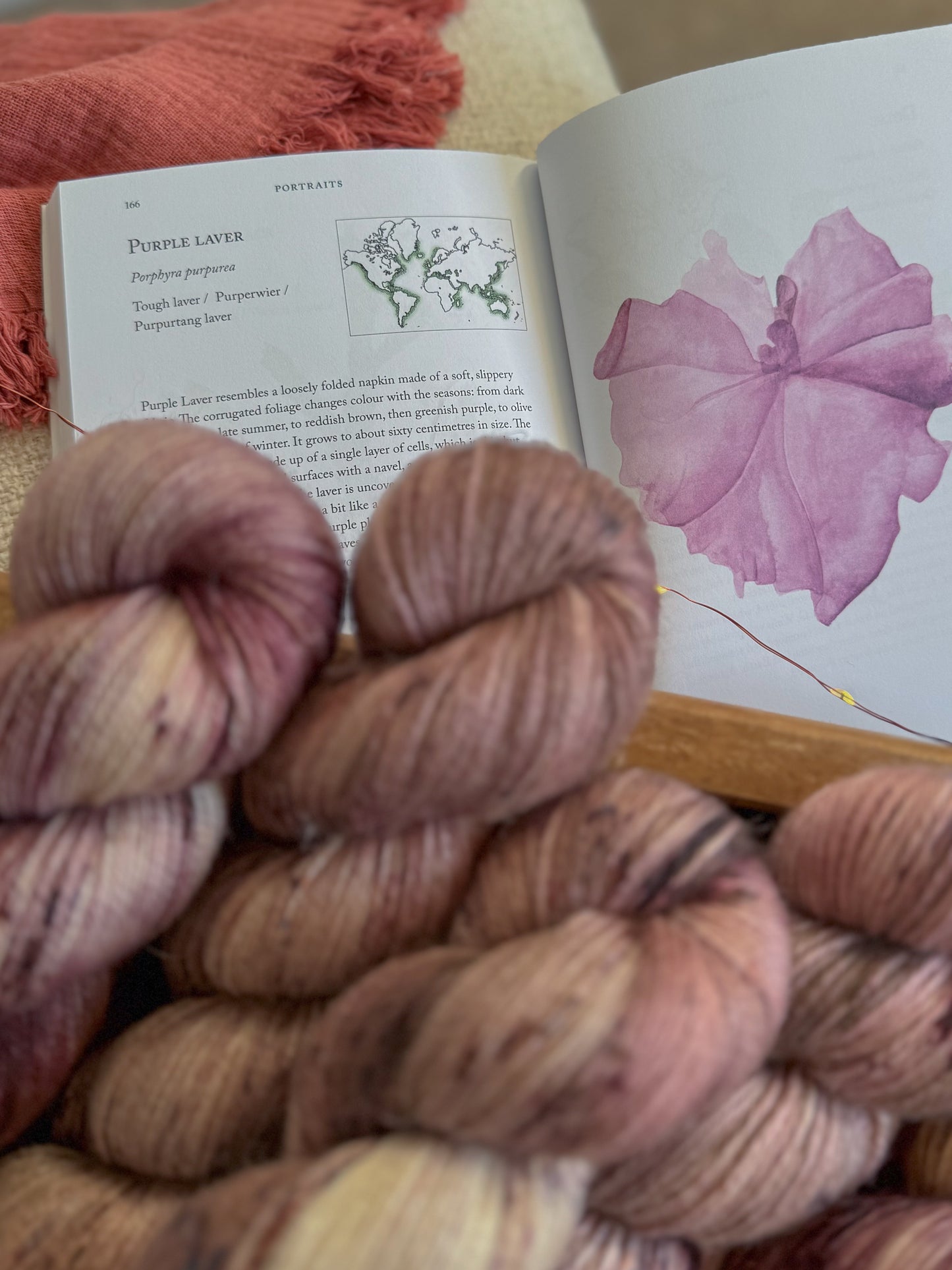 Purple Laver - BFL Singles