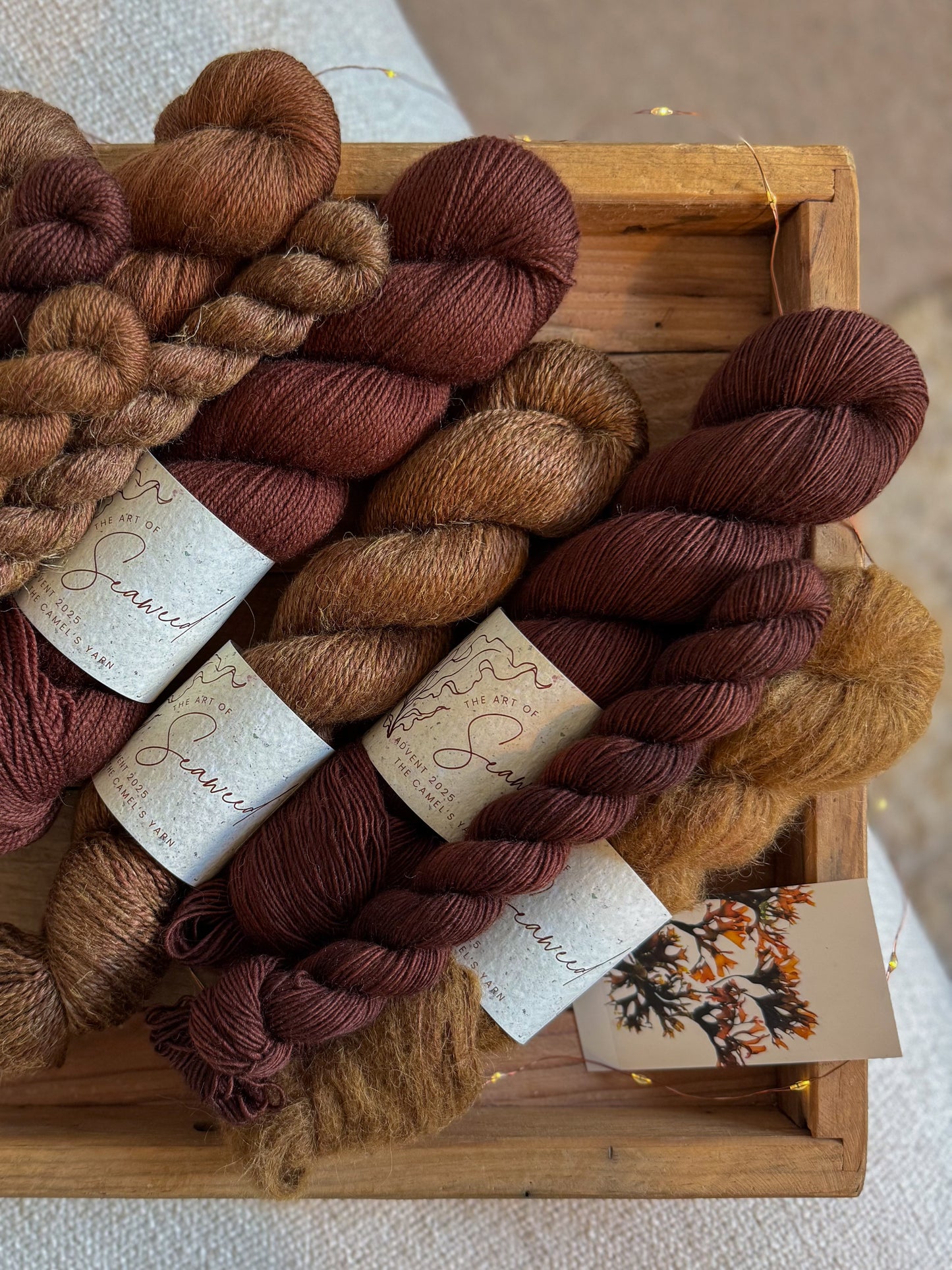 Seaweed Burners - BFL Singles