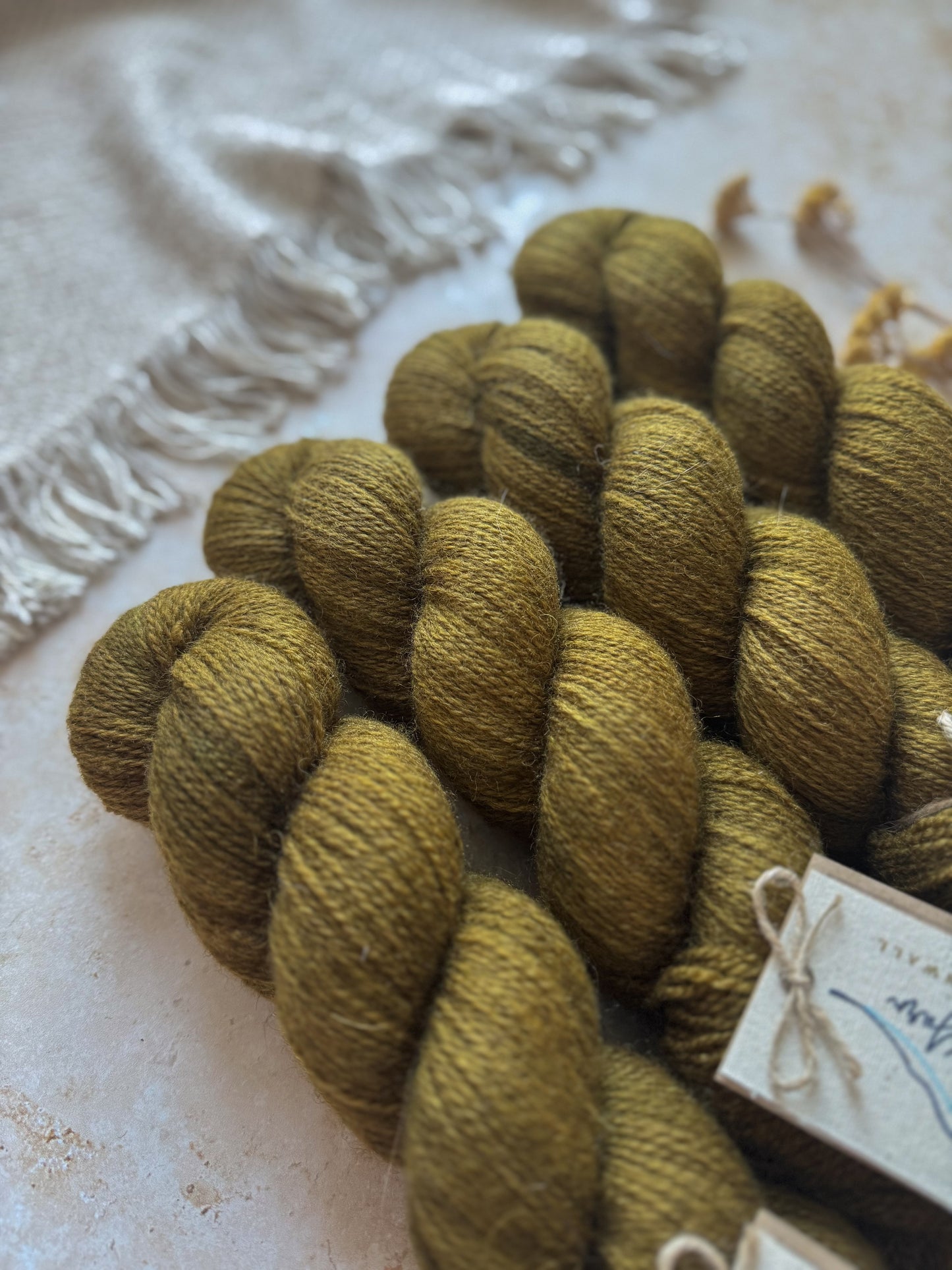 Sea Oak - Moorland Fingering