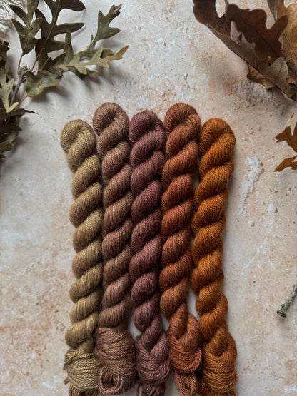 Autumn Fade - Sea Drift Skein Set