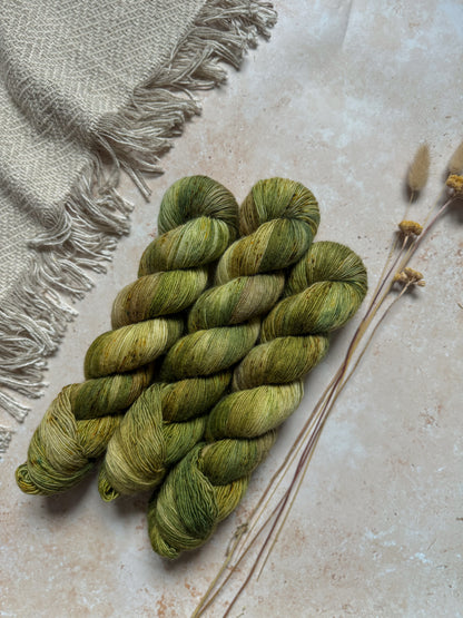 Sea Lettuce - BFL Singles