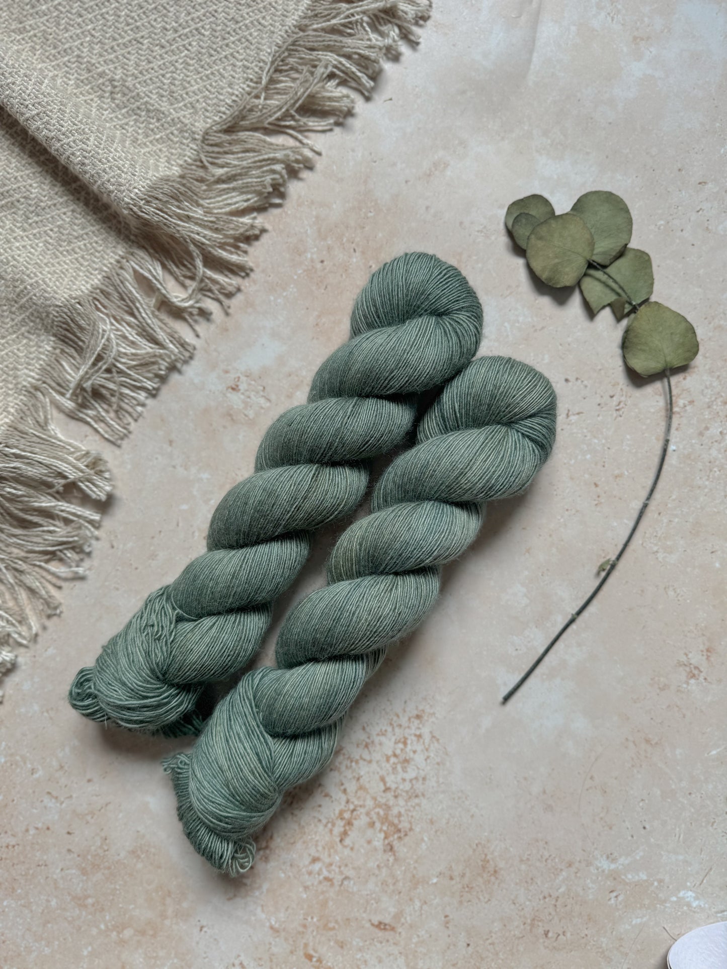 Studio Door - BFL Singles