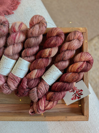 Fronds of Nitophyllum - BFL Singles