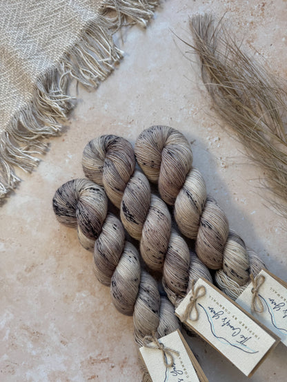 The Fossil Hunter - BFL Singles