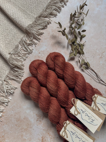 Rhodophyta - Moorland DK