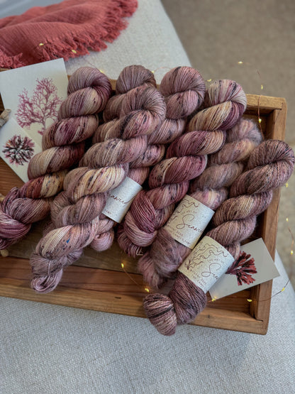 Purple Laver - BFL Singles