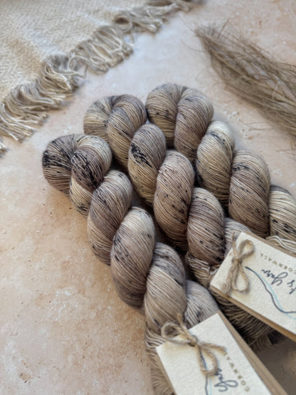 The Fossil Hunter - BFL Singles