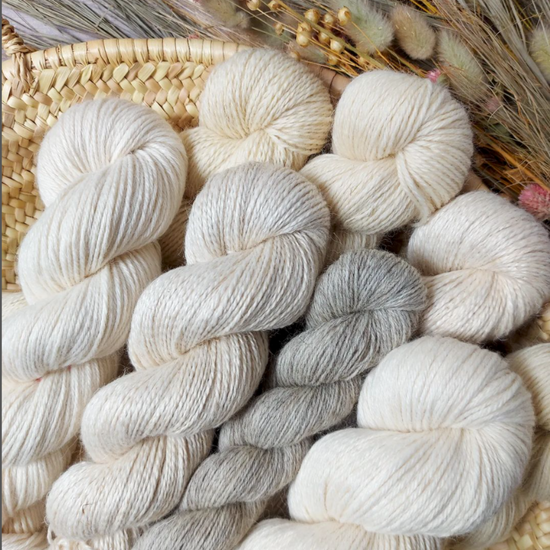 Where to order shop yarn